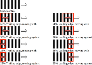 An example of the experimental conditions. The white arrows indicate direction of target and the red arrows indicate direction of dynamic texture motion. The red rectangle indicates the proportion of the texture that is moving, and the remainder of the texture is static. (Image: J. R. Hall et al., 2016)